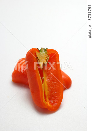 パブリカ 8751795