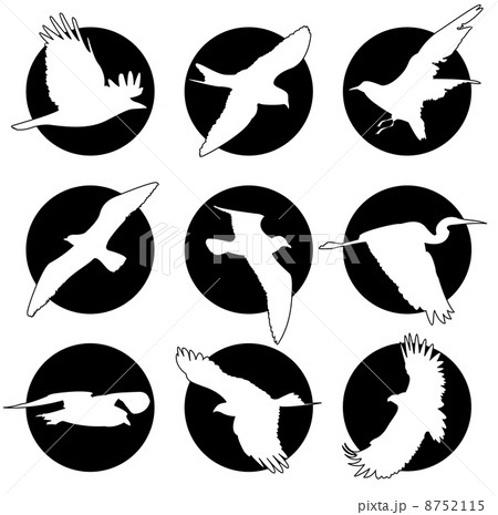 Set of brand collection of logos with birds 8752115
