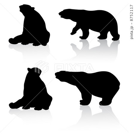 Bears Bears 8752117