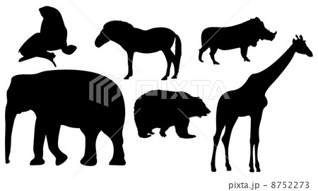 Zoo animals Zoo animals 8752273