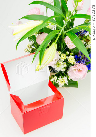 花とメッセージボックス 花とメッセージボックス 8752278