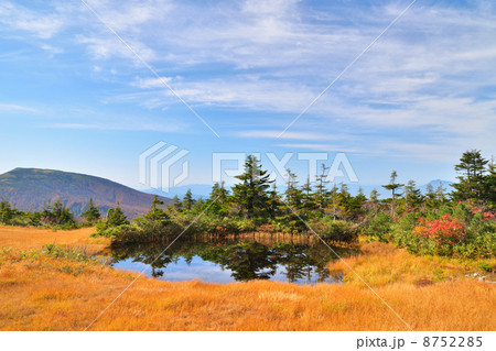 草紅葉と八甲田高原 8752285