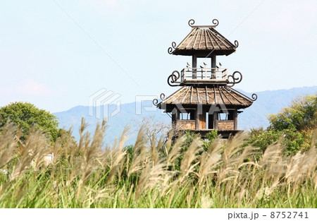 唐古・鍵遺跡の復元楼閣 8752741