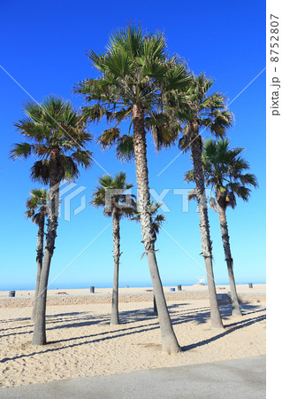 カリフォルニアの青い空と砂浜 8752807