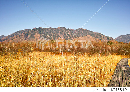 秋の戦場ヶ原と木道の写真素材