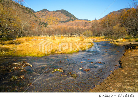 秋の光徳沼 秋の光徳沼 8753335