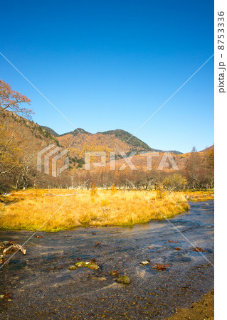 秋の光徳沼 8753336