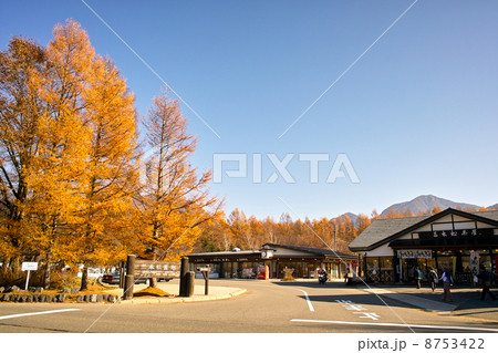 秋の三本松園地 8753422