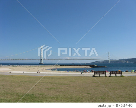 大蔵海岸海水浴場 8753440