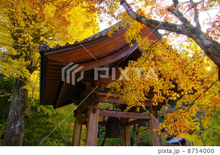 小松寺の鐘楼と黄葉(千葉県南房総市) 小松寺の鐘楼と黄葉(千葉県南房総市) 8754000