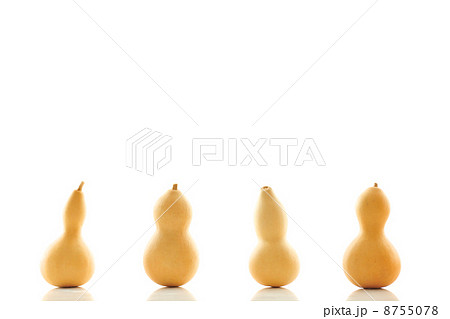 ひょうたん 8755078