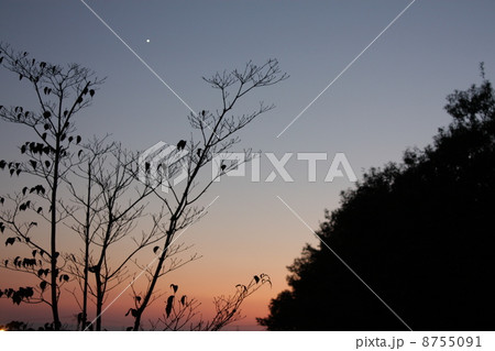 1番星-1 8755091