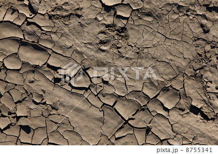 ひび割れた地面 8755341