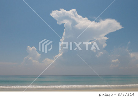 IS098SS1K IS098SS1K 8757214