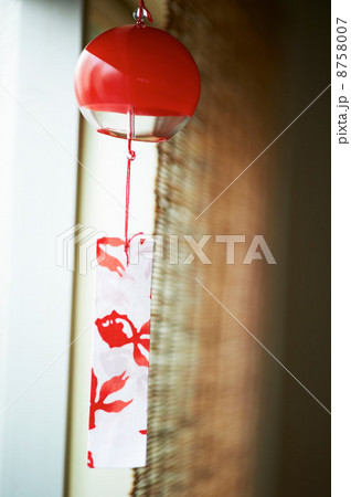 IS09AA6XA 8758007