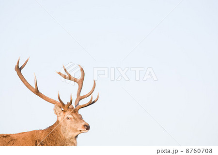 IS098SS2I IS098SS2I 8760708