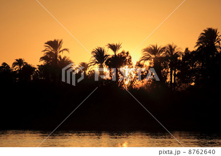 IS098T78H IS098T78H 8762640