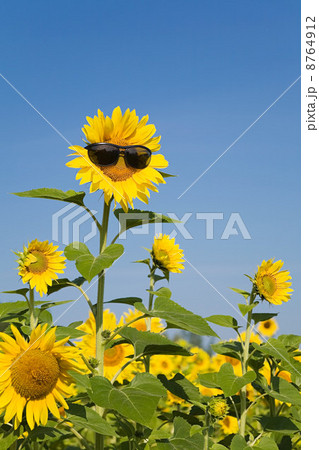 IS098T2N3 8764912