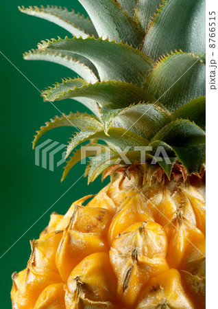 IS098R3CI IS098R3CI 8766515