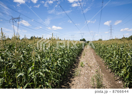 IS098SO2K IS098SO2K 8766644