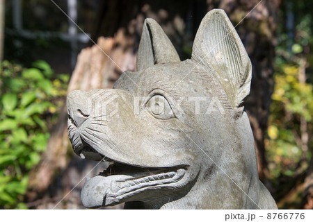 釜山神社　狼狛犬（埼玉県大里郡寄居町） 8766776