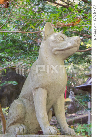 釜山神社　狼狛犬（埼玉県大里郡寄居町） 8766777