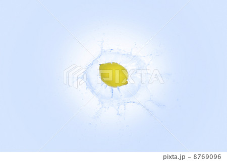 レモン_1368 8769096