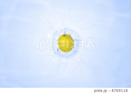 レモン_1374 レモン_1374 8769118