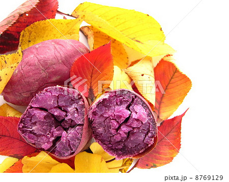 秋の味覚　おいしい紫芋の焼き芋と落ち葉 8769129