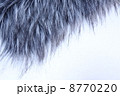 毛皮 8770220