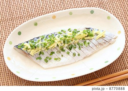 シメサバ 8770888