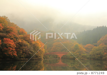 碓氷湖（群馬県安中市松井田町） 8771249