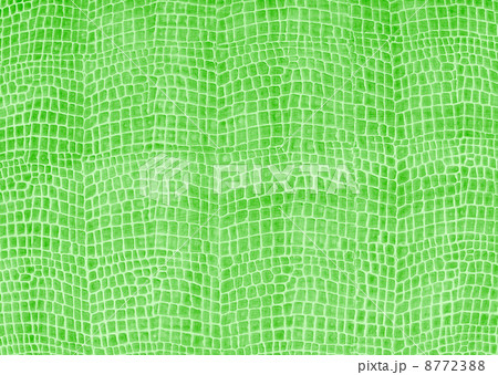 green leather background green leather background 8772388