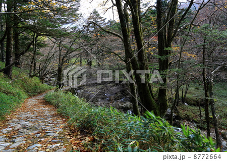大台ケ原、秋。 8772664