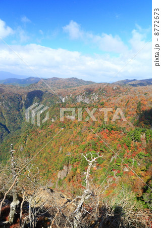 大台ケ原、秋。 大台ケ原、秋。 8772673
