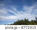 五葉山の秋空 8772915