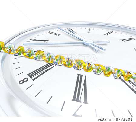 DNA遺伝子情報と時計の秒針の進み 8773201