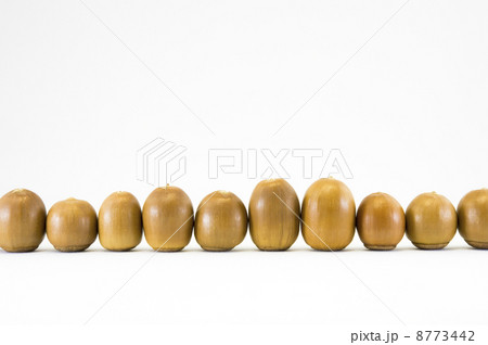 ドングリ 8773442