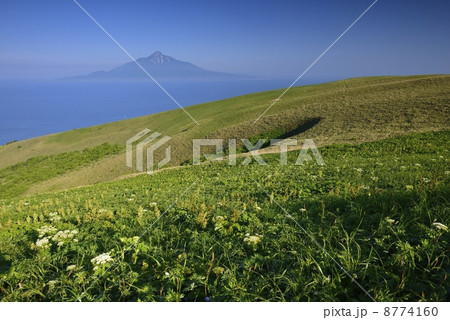 利尻富士 8774160