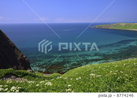 スコトン岬 8774246