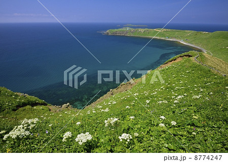 スコトン岬 8774247