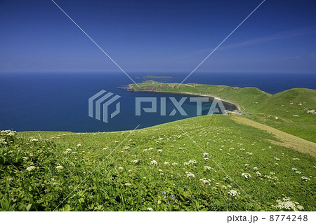 スコトン岬 8774248