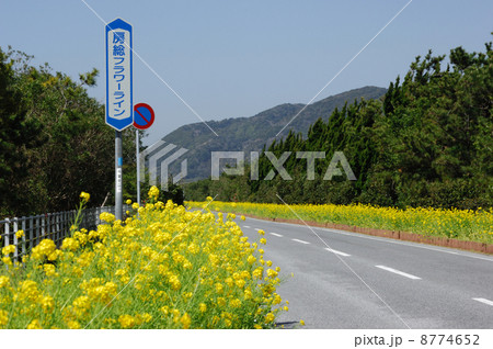 房総フラワーライン 8774652