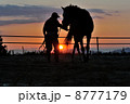 調教師と馬 8777179
