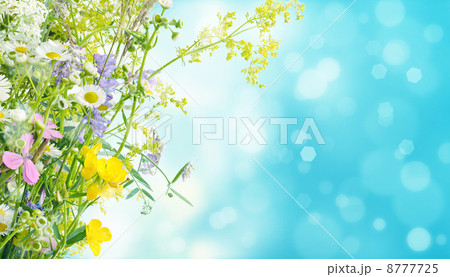 Summer flowers 8777725