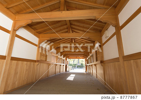 福井城址　御廊下橋 8777867