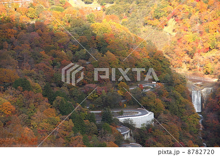 日光いろは坂 8782720