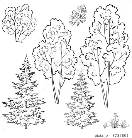 Plants, set, outline 8782861