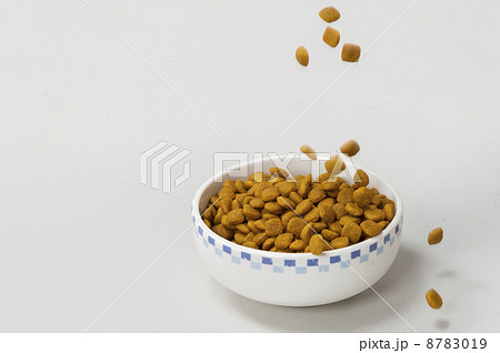 ペットフード ペットフード 8783019