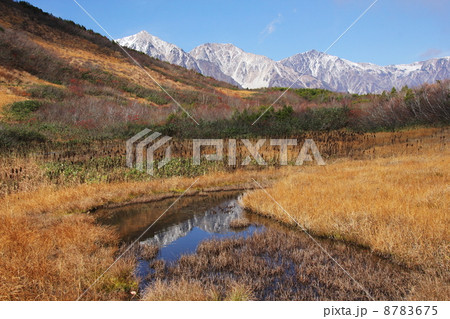 晩秋の鎌池湿原と白馬三山 晩秋の鎌池湿原と白馬三山 8783675